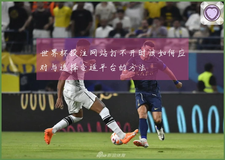 世界杯投注网站打不开时该如何应对与选择合适平台的方法