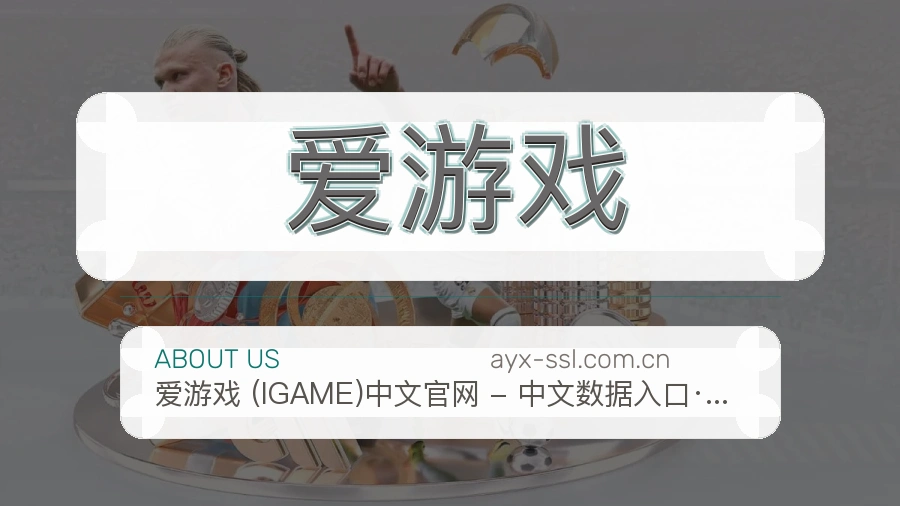 爱游戏服务说明